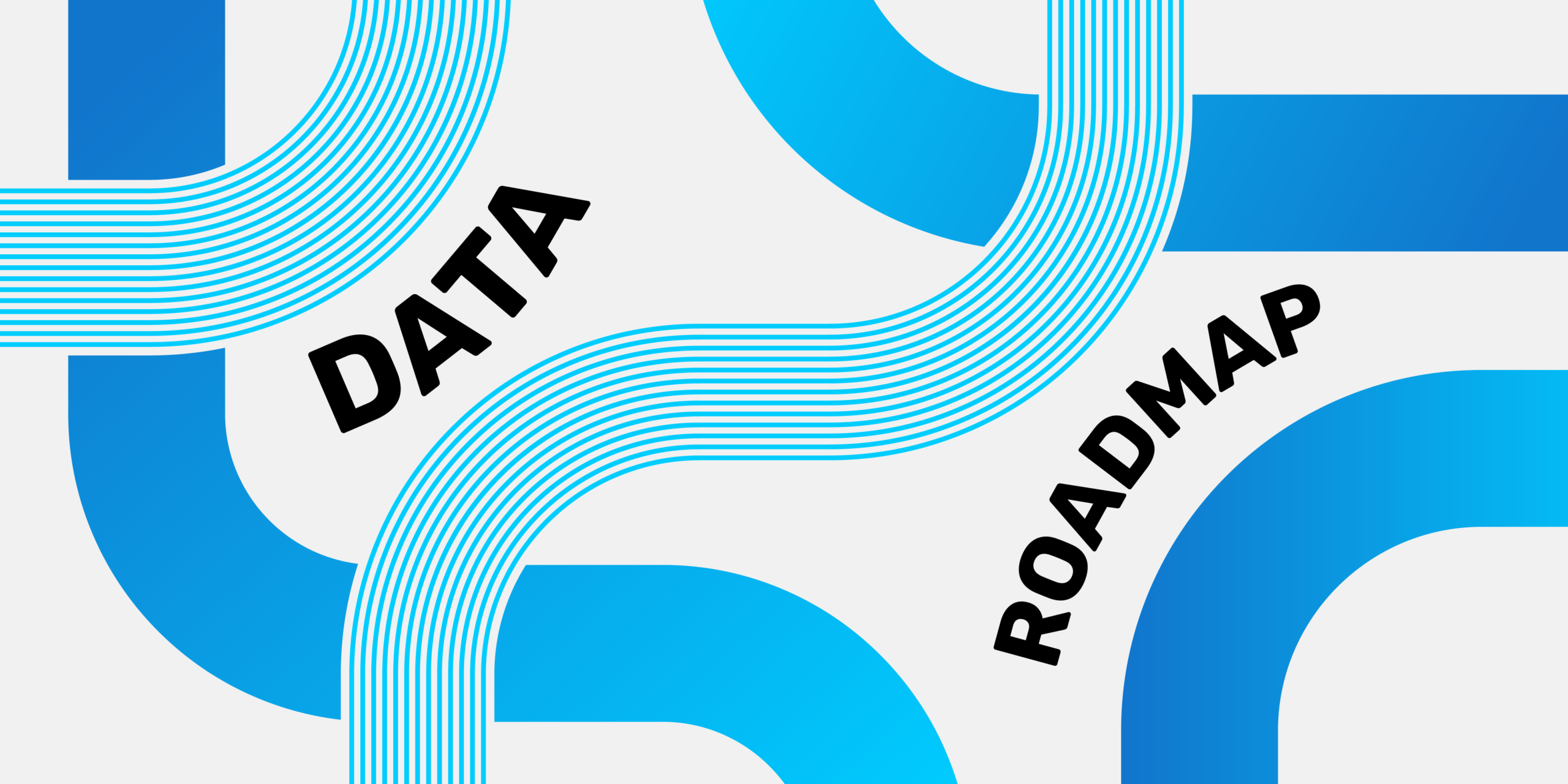 Data roadmap
